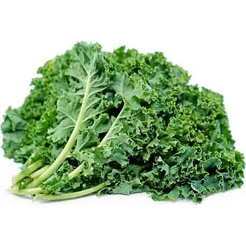 Organic Kale Green