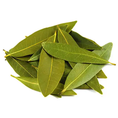 Bay Leaf