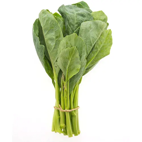 Rainbow Chard