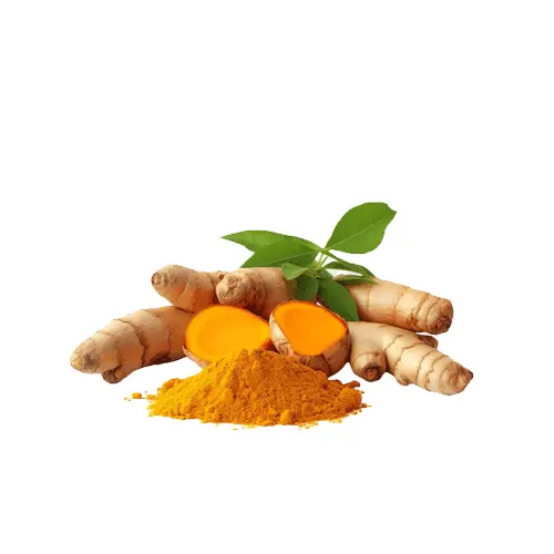Turmeric Ground