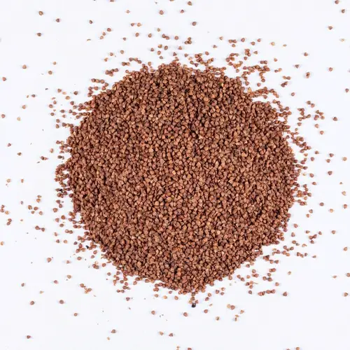 Red Clover Seeds