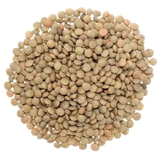 Organic Brown Lentils