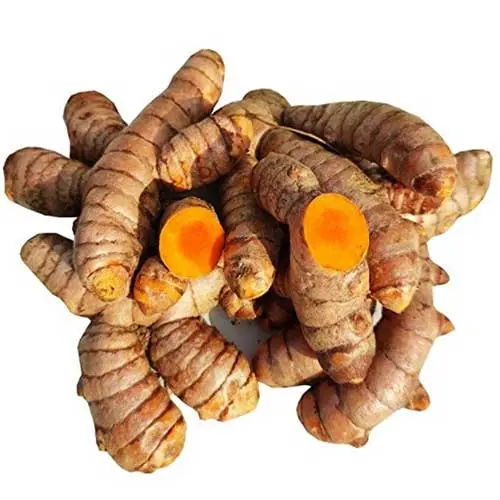 Organic Turmeric Raw