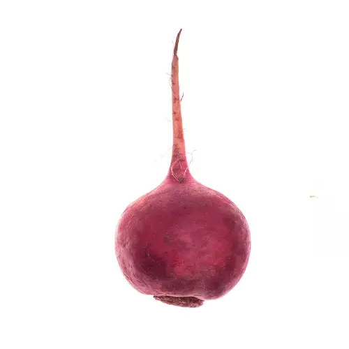 Beetroot