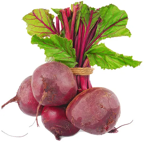 Organic Beetroot