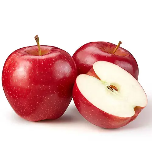 Organic Red Apple