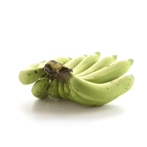 Plantain green 