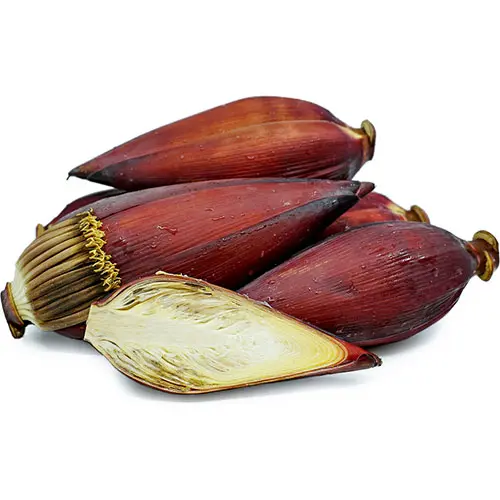 Banana Flower