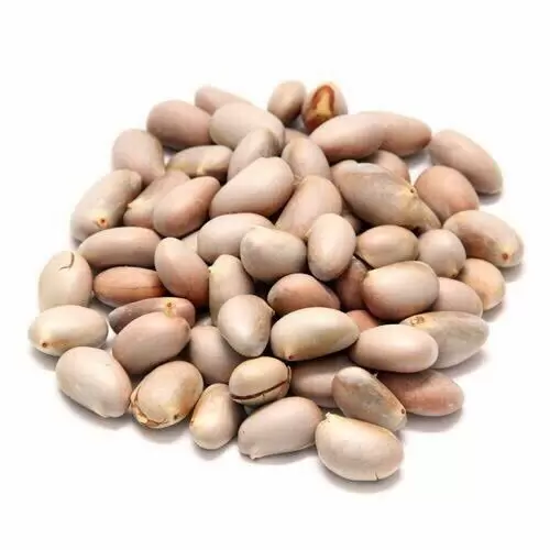 Jack Fruit Seeds 