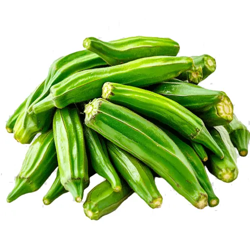Okra