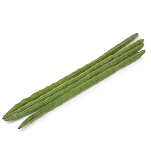 Drumstick 