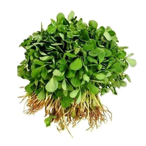 Methi Leaf 