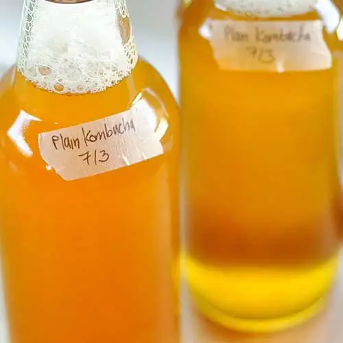 Kombucha