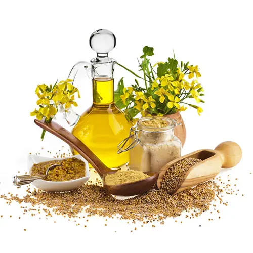 Mustard Oil 