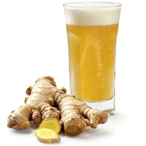 Ginger Beer