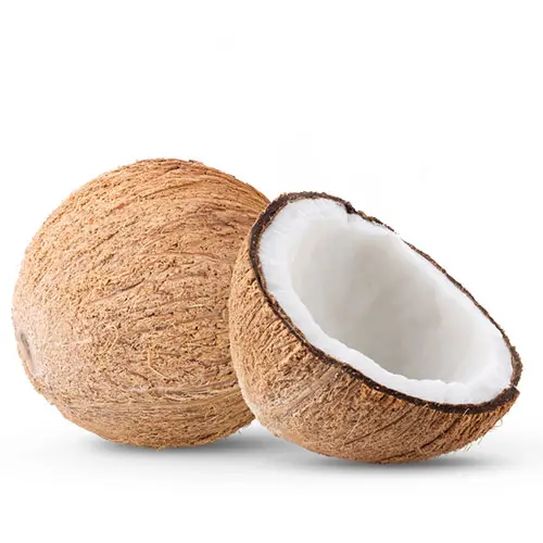 Coconut 