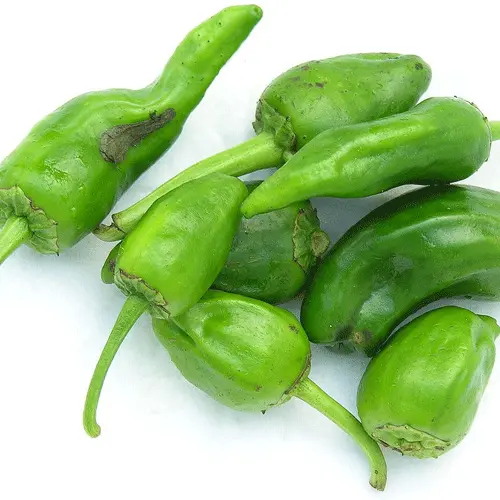 Pepper Padron