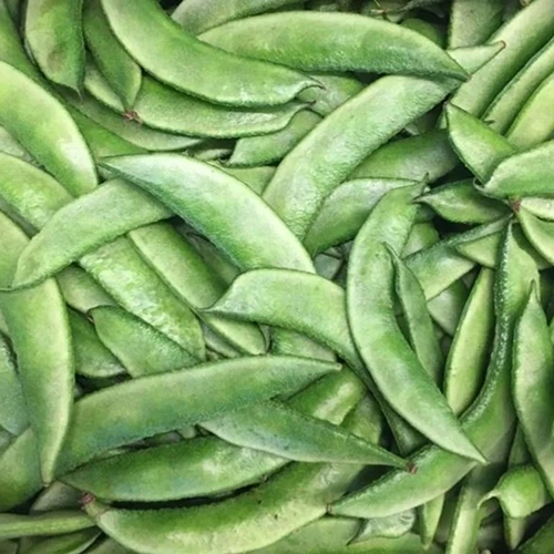 Broad Beans