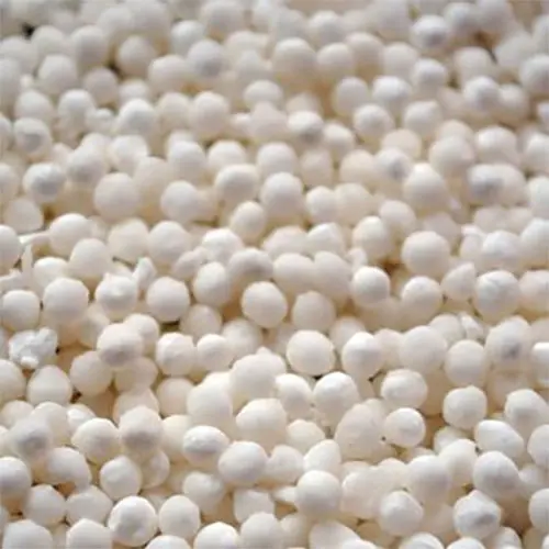 Sagoo Seeds