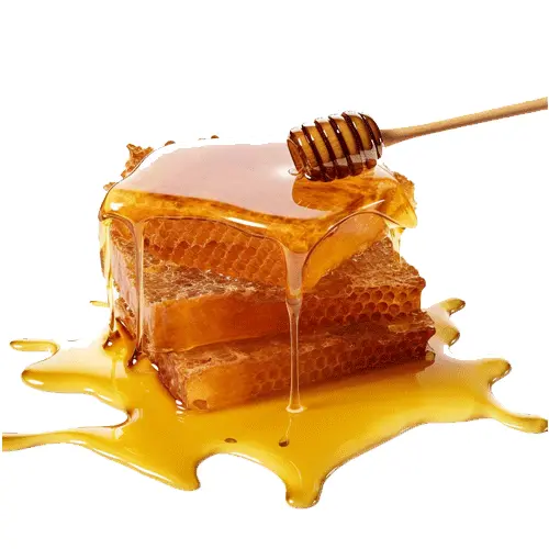 Manuka Honey MGO 263+