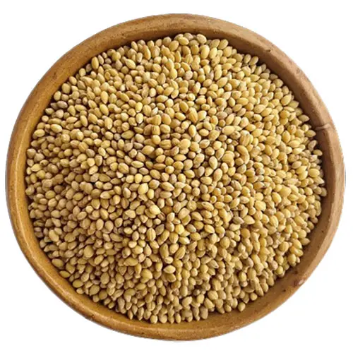 Barnyard Millet (Kudhiraivali)