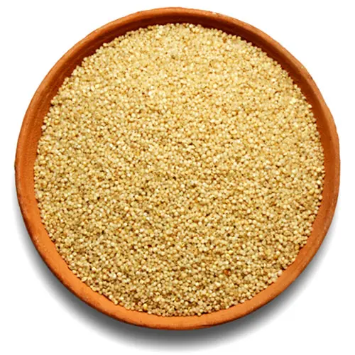 Little Millet Grains (Samai)