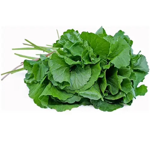 Vallarai Leaves 