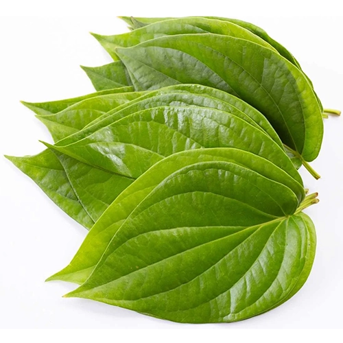Betel Leaves 