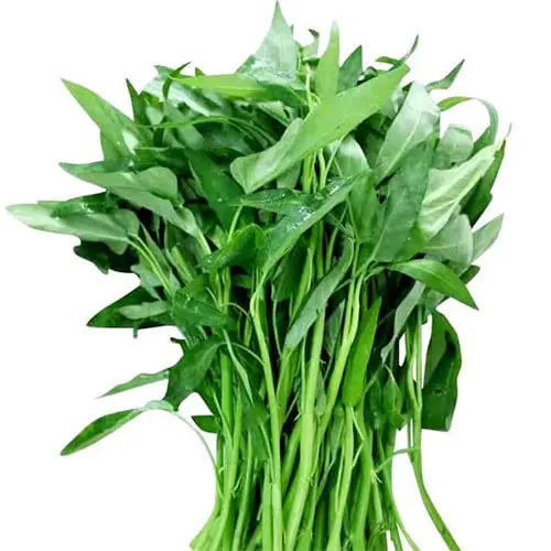 Water Spinach 