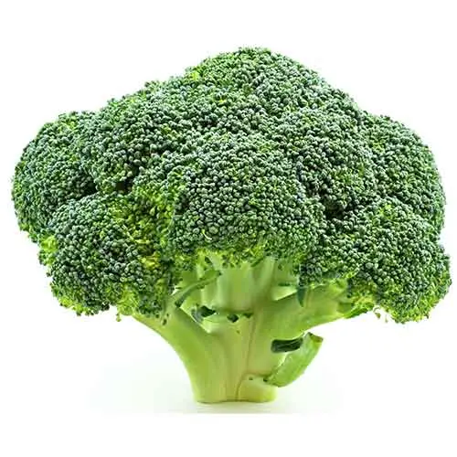 Organic Broccoli
