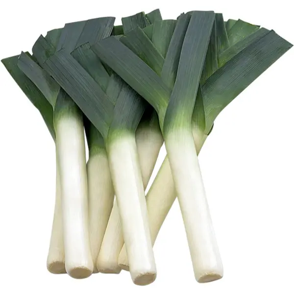 Organic Leeks