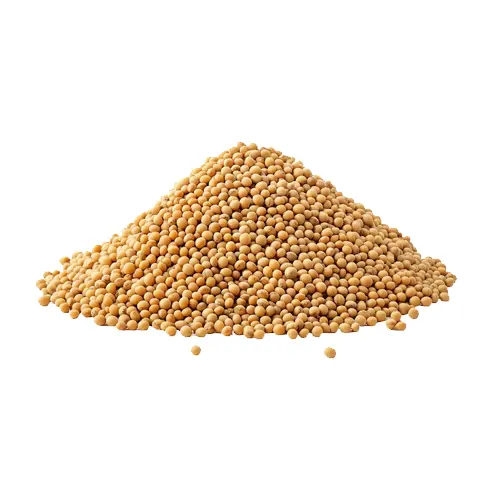 Soya Beans