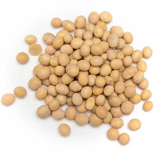 Organic Soya Beans