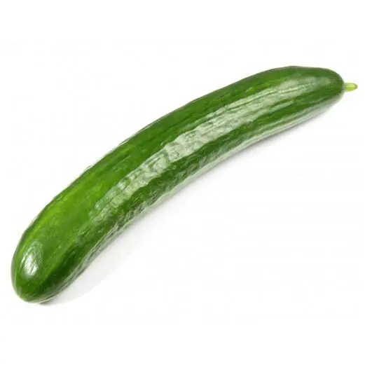 Organic Cucumber 
