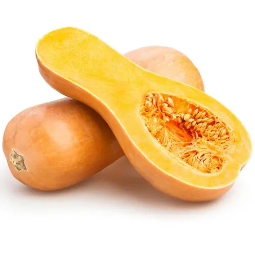 Butternut Squash