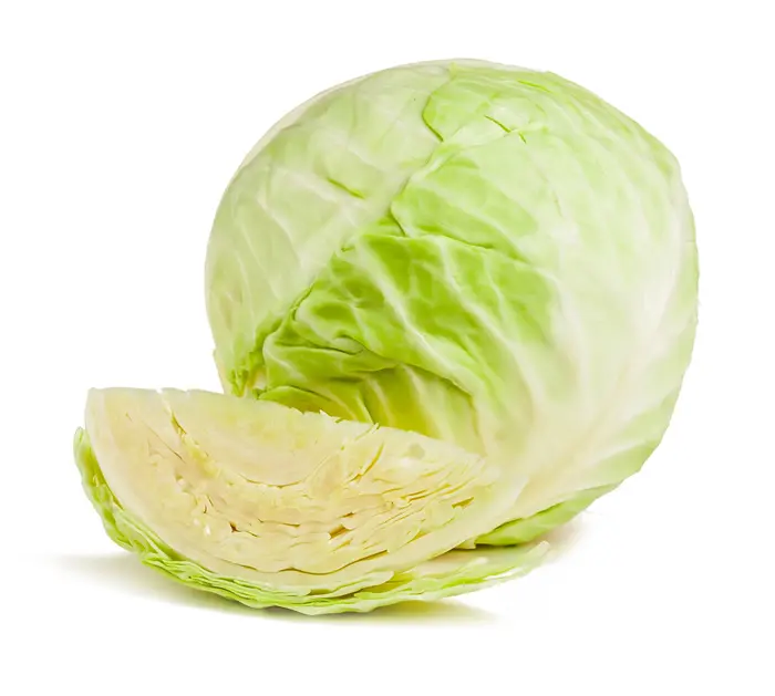 Organic White Cabbage