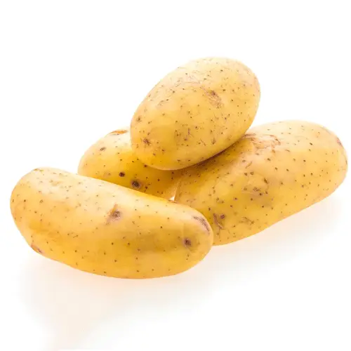 Organic Potato