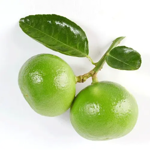 Organic Lime