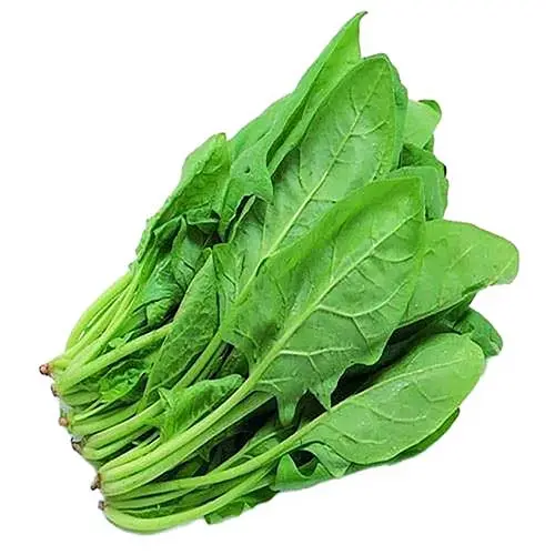 Organic Spinach Leaves