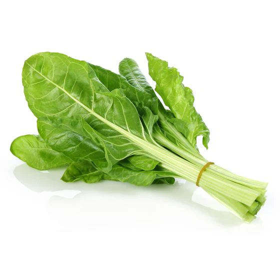Organic Chard
