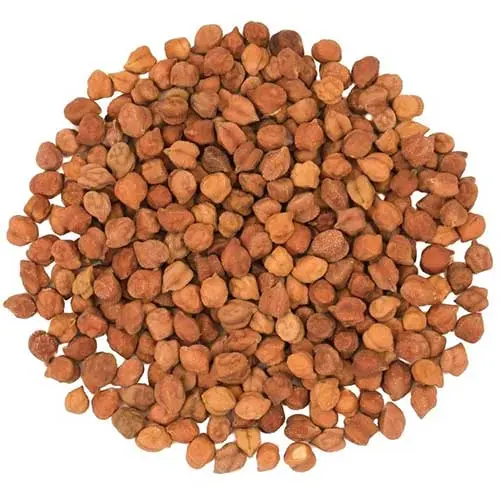 Brown Chickpeas