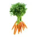 Organic Red Carrot Bunches