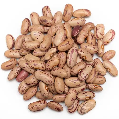 Organic Pinto Beans