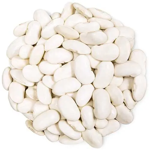 Organic White Kidney Beans (Cannellini)