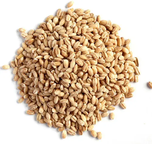 Organic Pearl Barley