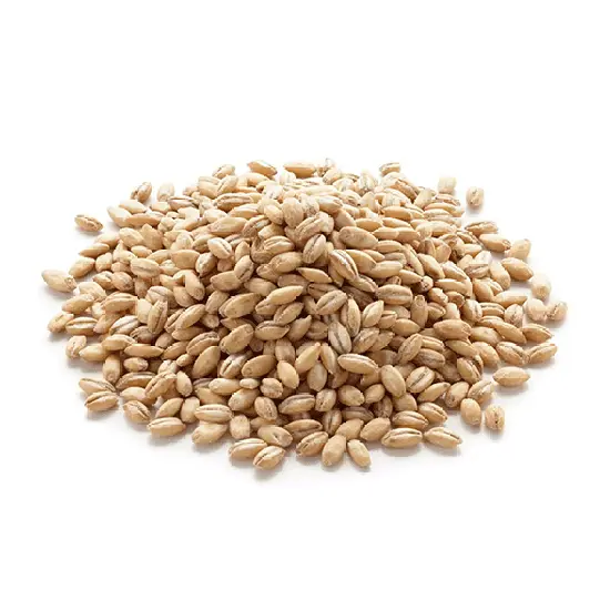Organic Orzo Rice
