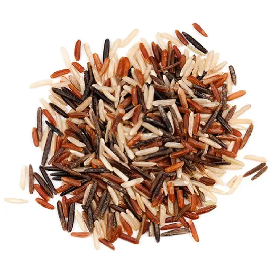 Organic Wild Rice Mix