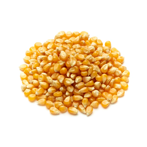 Organic Popping Corn