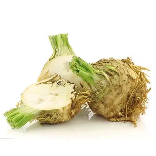 Organic Celeriac