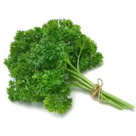 Curly Parsley